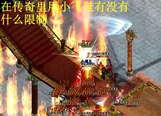 在传奇里用小飞鞋有没有什么限制