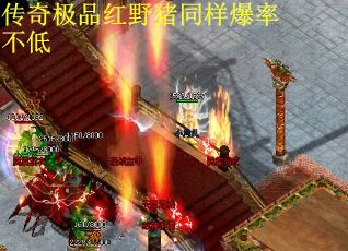 传奇极品红野猪同样爆率不低