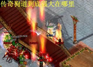 传奇狗道到底强大在哪里