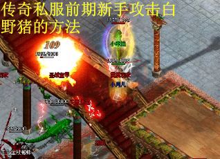 传奇私服前期新手攻击白野猪的方法