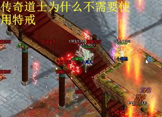 传奇道士为什么不需要使用特戒