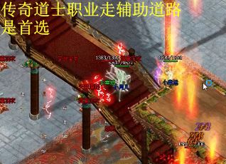 传奇道士职业走辅助道路是首选