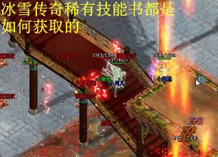 冰雪传奇稀有技能书都是如何获取的