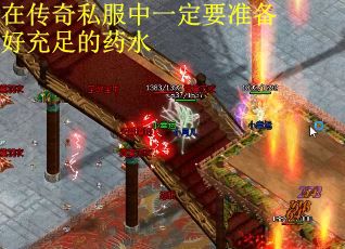 在传奇私服中一定要准备好充足的药水