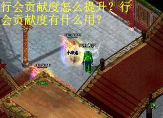 行会贡献度怎么提升？行会贡献度有什么用？