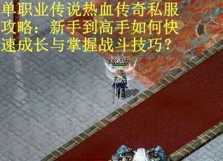 单职业传说热血传奇私服攻略：新手到高手如何快速成长与掌握战斗技巧？