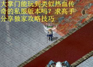 大掌门能玩到类似热血传奇的私服版本吗？求高手分享独家攻略技巧