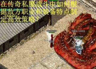 在传奇私服战斗中如何根据敌方职业和装备特点制定高效策略？