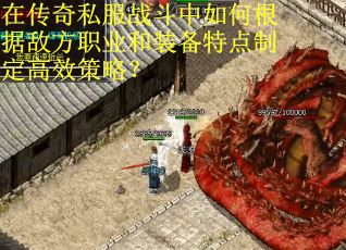 在传奇私服战斗中如何根据敌方职业和装备特点制定高效策略？