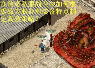 在传奇私服战斗中如何根据敌方职业和装备特点制定高效策略？
