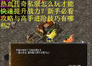 热血传奇私服怎么玩才能快速提升战力？新手必看攻略与高手进阶技巧有哪些？