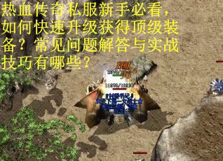 热血传奇私服新手必看，如何快速升级获得顶级装备？常见问题解答与实战技巧有哪些？