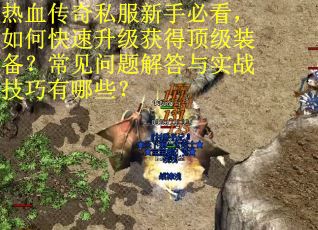 热血传奇私服新手必看，如何快速升级获得顶级装备？常见问题解答与实战技巧有哪些？