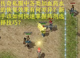 传奇私服中各类加血药水的恢复效果有何差异？新手该如何快速掌握药剂选择技巧？