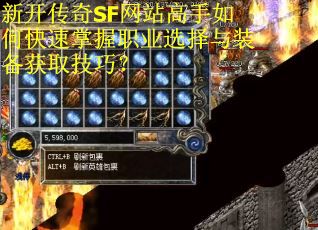 新开传奇SF网站高手如何快速掌握职业选择与装备获取技巧？