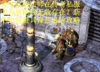 带宝宝的法师在传奇私服中为何堪称无敌存在？新手如何避其锋芒进阶攻略