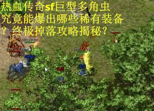 热血传奇sf巨型多角虫究竟能爆出哪些稀有装备？终极掉落攻略揭秘？