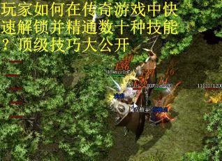 玩家如何在传奇游戏中快速解锁并精通数十种技能？顶级技巧大公开