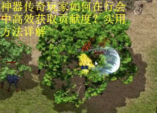 神器传奇玩家如何在行会中高效获取贡献度？实用方法详解