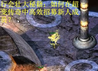 行会壮大秘籍：如何在超变传奇中高效招募新人成员？