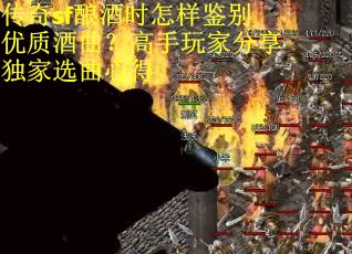 传奇sf酿酒时怎样鉴别优质酒曲？高手玩家分享独家选曲心得