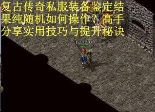 复古传奇私服装备鉴定结果纯随机如何操作？高手分享实用技巧与提升秘诀