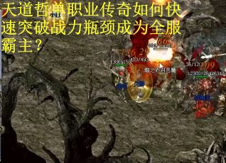 天道哲单职业传奇如何快速突破战力瓶颈成为全服霸主？