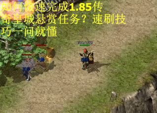 如何快速完成1.85传奇皇城悬赏任务？速刷技巧一问就懂