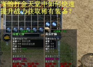 家的打金天堂中如何快速提升战力获取稀有装备？
