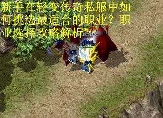 新手在轻变传奇私服中如何挑选最适合的职业？职业选择攻略解析