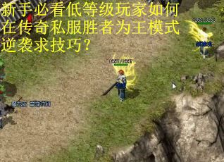 新手必看低等级玩家如何在传奇私服胜者为王模式逆袭求技巧？