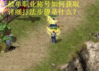 无赦单职业称号如何获取？详细打法步骤是什么？