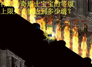 神器传奇道士宝宝的等级上限究竟能达到多少级？