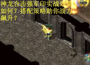 神龙合击强军印实战效果如何？搭配策略助你战力飙升？