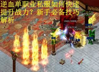 逆血单职业私服如何快速提升战力？新手必备技巧解析