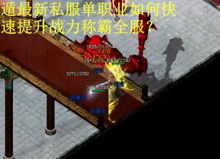遁最新私服单职业如何快速提升战力称霸全服？
