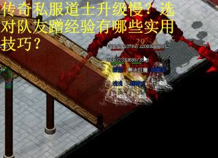 传奇私服道士升级慢？选对队友蹭经验有哪些实用技巧？