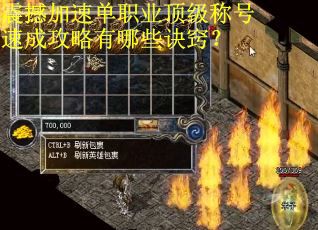 震撼加速单职业顶级称号速成攻略有哪些诀窍？